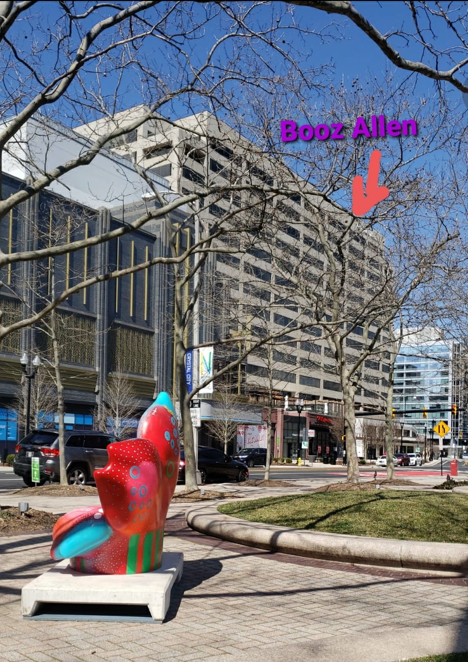 Hiba Alyawer's cherry blossom in the foreground with an arrow pointing at a building in the background labelled Booz Allen Hamilton